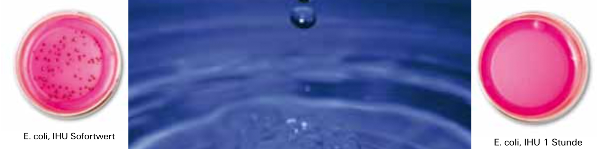 Unsere Mission: Besseres Wasser - WELLAN®2000 GmbH world wide